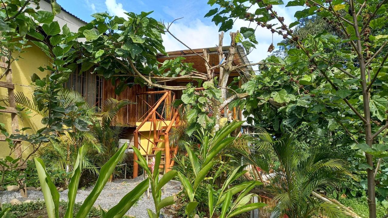 Cacao Lodge And Tours La Fortuna 외부 사진